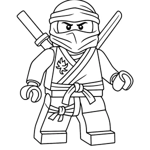 Ninja Warriors