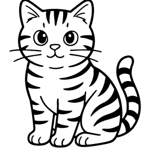 Silver Tabby Cat
