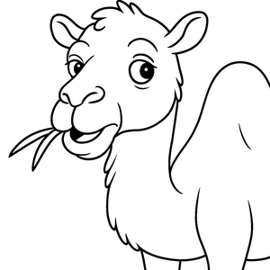 Chewing Camel