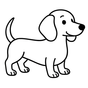Dachshund