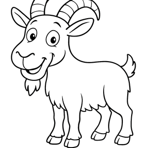 Funny Mountain Goat